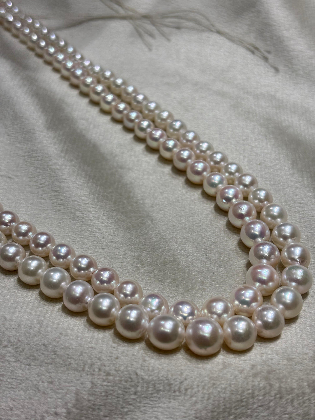 Certified Akoya Pearls Two Rows