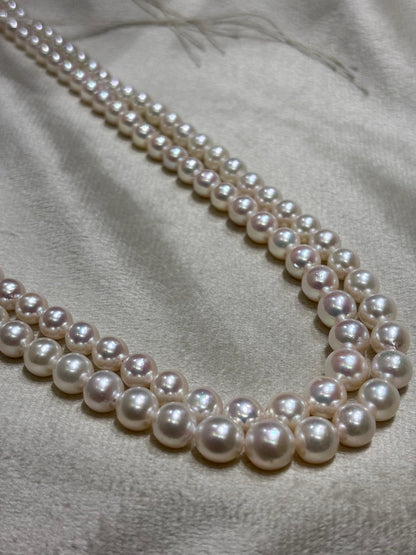 Certified Akoya Pearls Two Rows