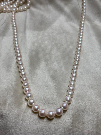 Akoya Pearls Premium Quality Luxurious Whitish Pink Tone