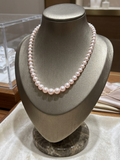 Akoya Pearls Premium Quality Luxurious Whitish Pink Tone
