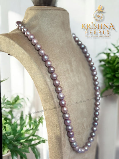 Aesthetic Shades of Pearls Necklace Set