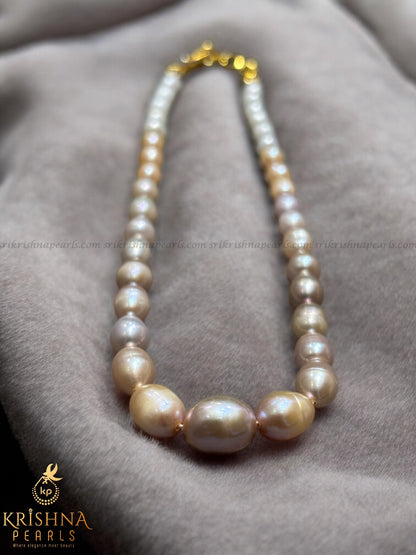 Pretty Gradation Multi Colour Kids Necklace