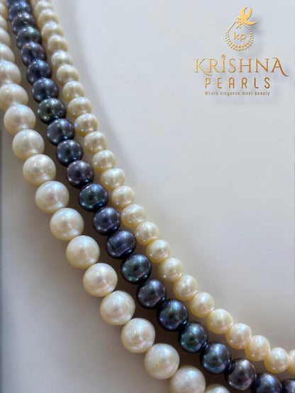 Simple Classy Black & White Round Gradient Plain Pearls Necklace