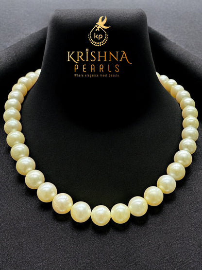Exclusive Light Golden South Sea Pearls Necklace Set
