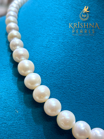 Premium Quality Graduated Pearl Necklace Set AAA