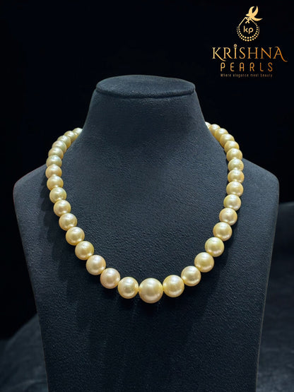 Golden Sovereign: South Sea Graduated Pearl Necklace