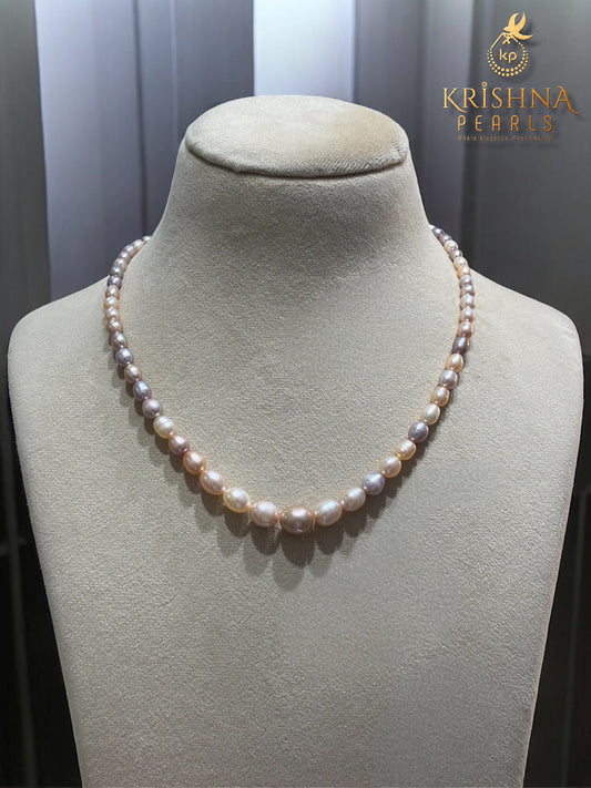 Adorable Multi Oval Gradation Necklace