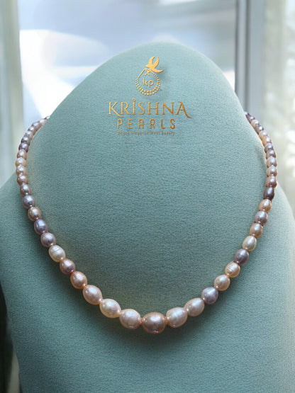 Adorable Multi Oval Gradation Necklace
