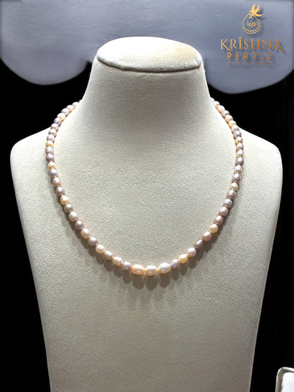 Adorable MultiColour Pearls Necklace