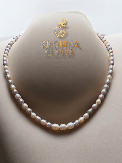Adorable MultiColour Pearls Necklace