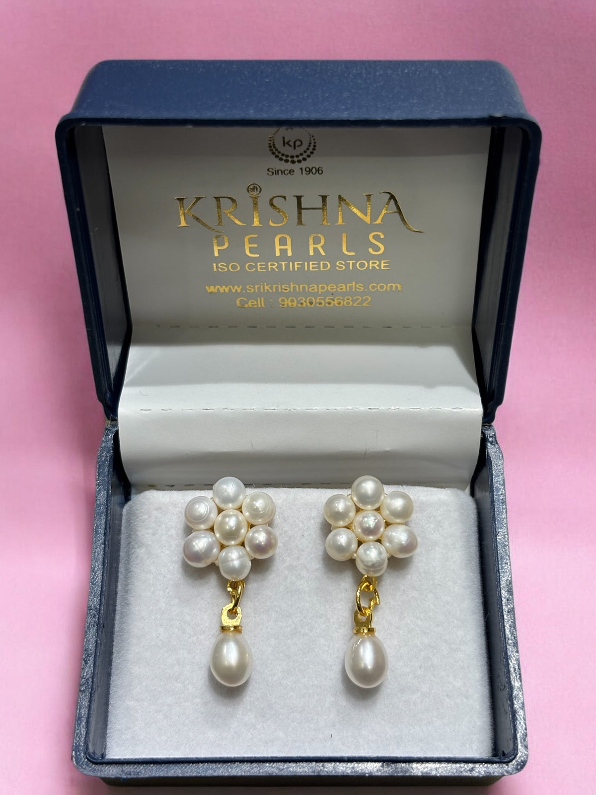 Beautiful Pearls Studded Hangings