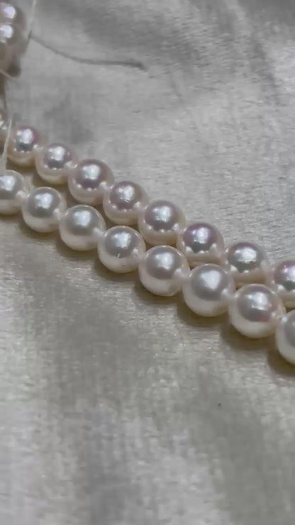 Certified Akoya Pearls Two Rows