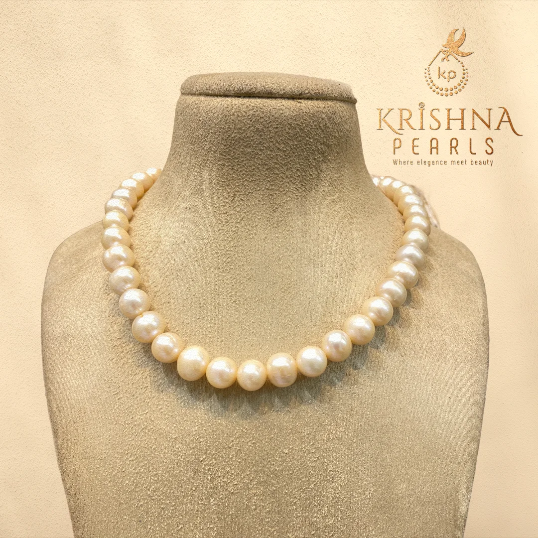 PBPC White Freshwater Pearl Necklace 11-12mm, Box at Rs 9373/unit in Mumbai